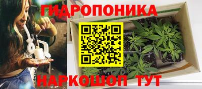 СК Ипатово