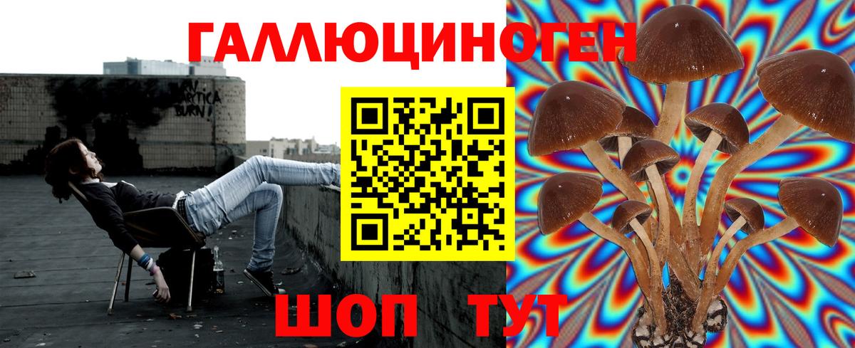 Лесозаводск  Псилоцибиновые грибы прущие грибы  где продают   Вход с VPN 