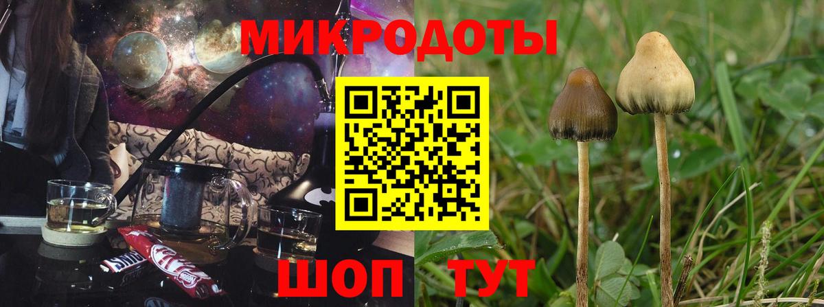 Псилоцибиновые грибы прущие грибы Лесозаводск